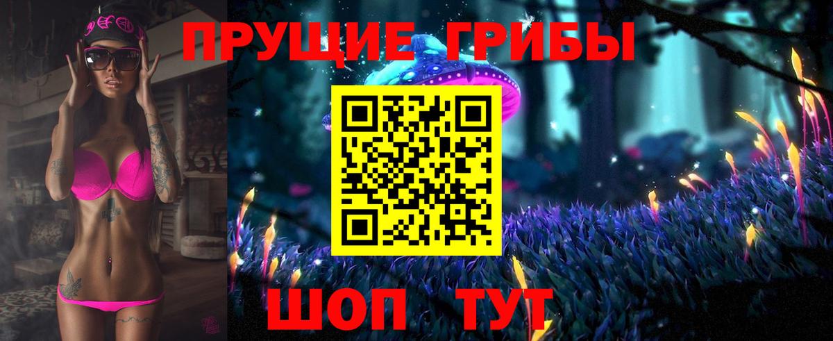 Псилоцибиновые грибы Psilocybine cubensis  Галлюциногенные грибы Psilocybine cubensis  Вход с VPN  купить закладку  Сердобск 